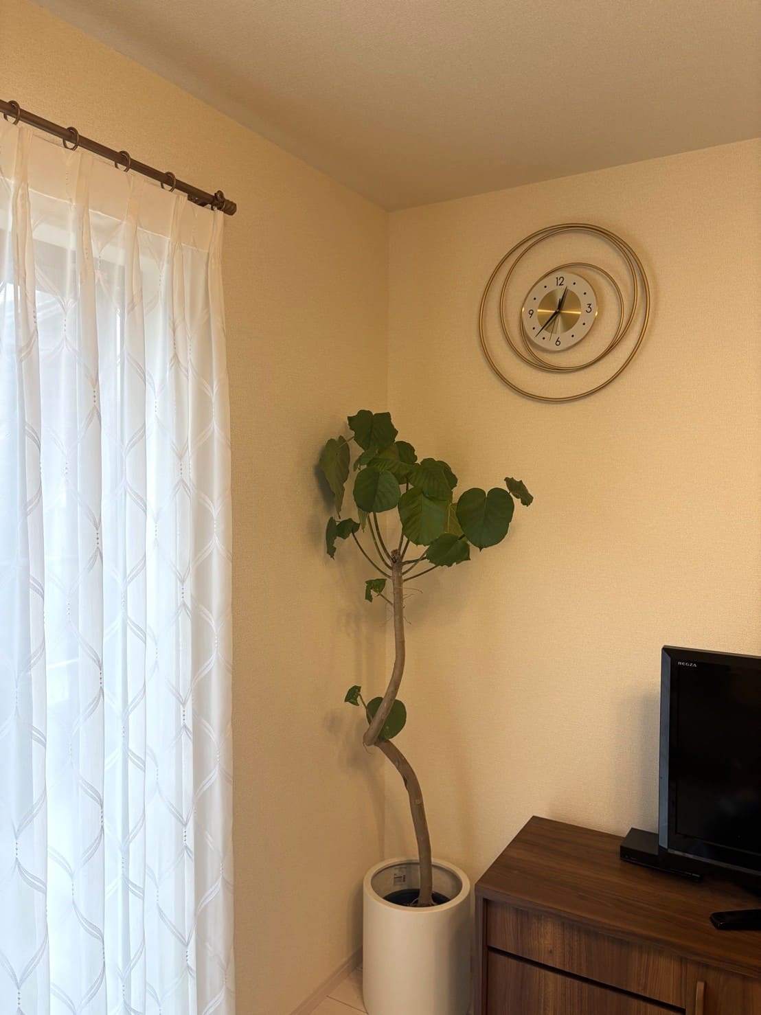 インテリアコーディネート実例