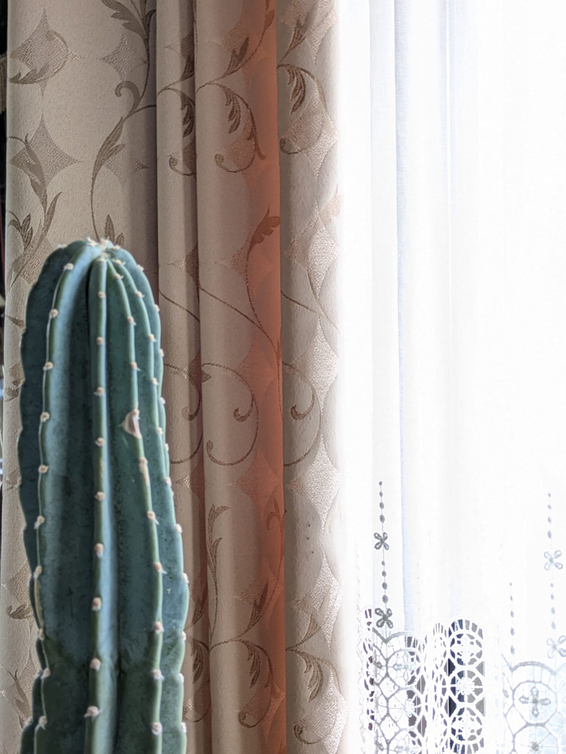 インテリアコーディネート実例