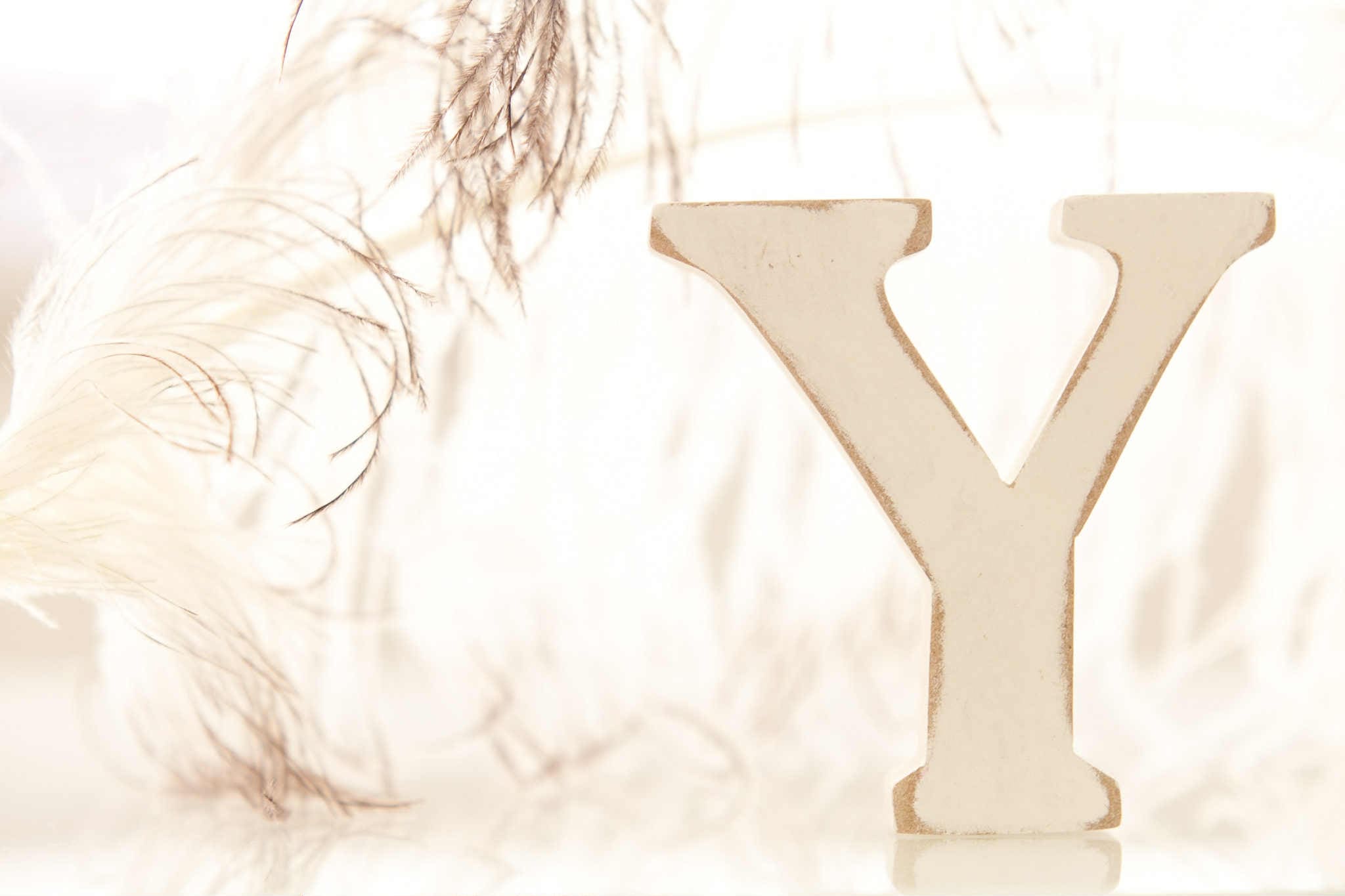 インテリアコーディネート実例